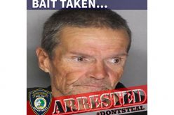 Someone else takes the bait in Citrus Heights