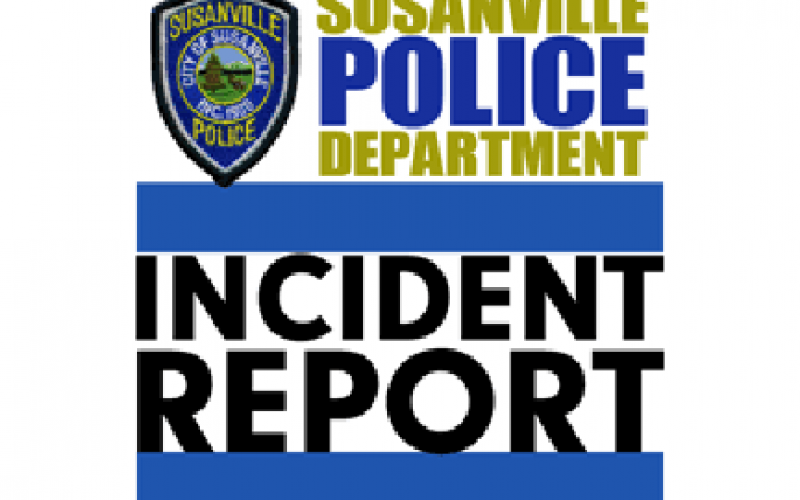 Three recent Susanville crimes result in two arrests