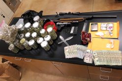 Convicted felon racks up new charges after being caught with stolen vehicle