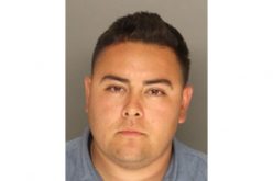 Witness Chases and IDs Hit-and-Run Driver