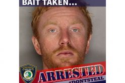 Another one takes the bait