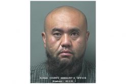 Hemp field theft is thwarted