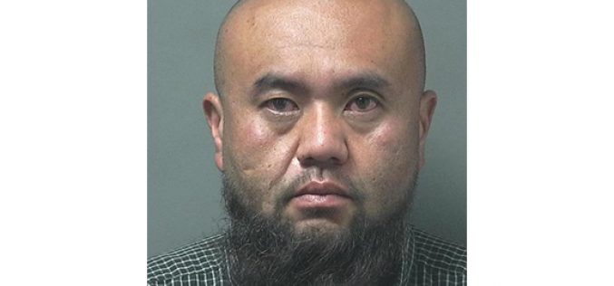 Hemp field theft is thwarted