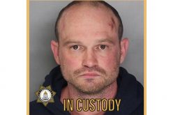 Man surrenders gun but does not surrender without a fight