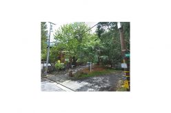 Host Arrested for Shooting Guest in the Foot at Christmas Party