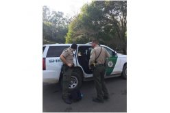 Marin County Sheriff issues press release on Woodacre burglary spree arrest