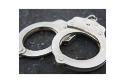 Fugitive with 3 Outstanding Warrants Located Driving Stolen Vehicle