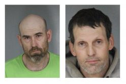 Humboldt County authorities arrest two in firewood theft investigation