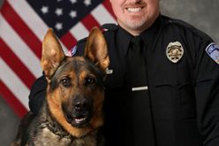 Welcome to the Orland PD, K9 Dutch