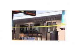 Gold Line Stabbing Murder Suspect Sentenced