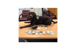 Man drives around with guns and drugs