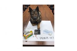 Two probationers jump out of car and run away