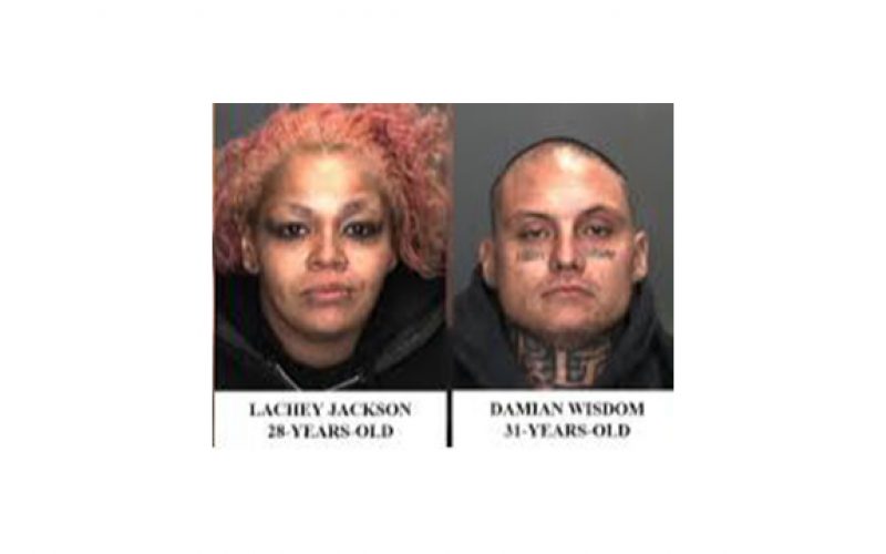 Felonious Duo with Live Ammo Thwarted Mid-Scheme in Mojave Desert