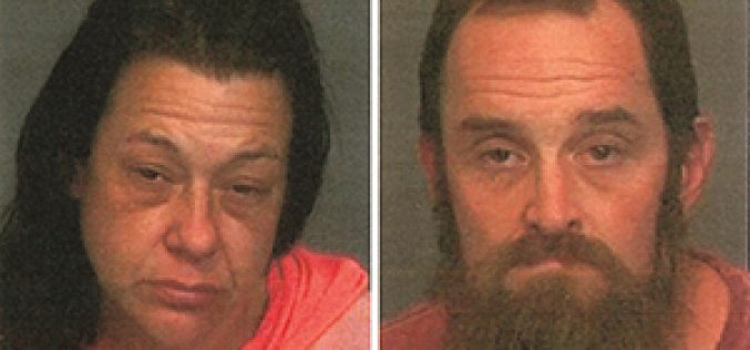 House Sitters Allegedly Steal $22,000 Worth of Property while Owner is Away