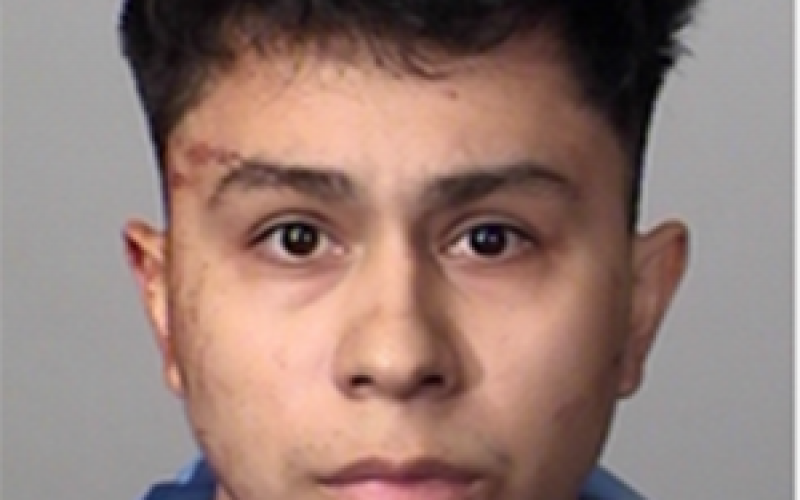 Arrested for Stabbing Sleeping Parents