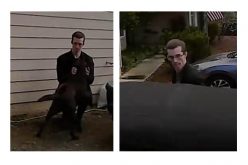 El Dorado Sheriff seeking suspect in dognapping case