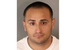 Stolen vehicle call ends with arrest of previously convicted felon