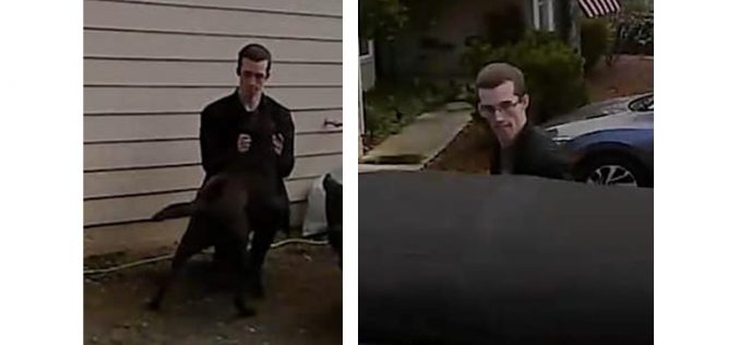 El Dorado Sheriff seeking suspect in dognapping case