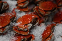San Joaquin County Sheriff’s Office announces Crab Feed fundraiser