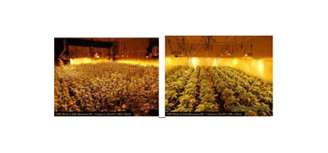 Marijuana grow house discovered, red tagged