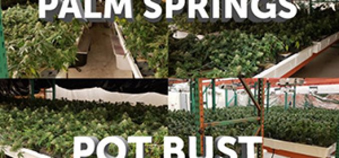 2 New Yorkers Arrested for For Illegal Cannabis Business in Palm Springs
