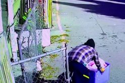 Man Charged with Murder of Roommate, Dumping Her Body in a Dumpster