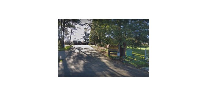 Juvenile probation escapee rescued out of a pond by deputies