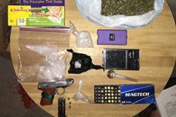 Narcotics Arrests in Wasco