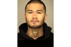 Felon Busted with Firearm and Ammo