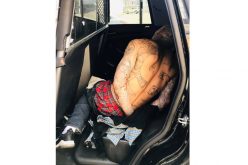 Registered sex offender arrested after allegedly following two young girls