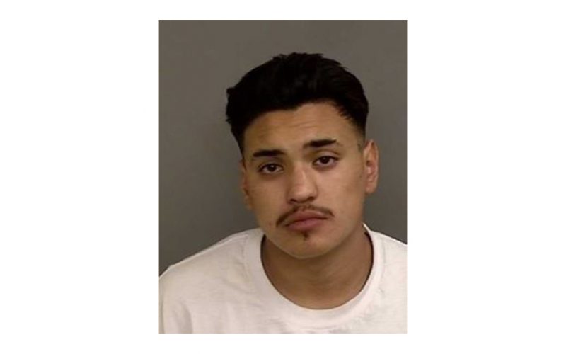 A gang member’s night of robbery – beer and roses