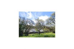 Retired Firefighter Arrested for Attempted Murder of his Caretaker