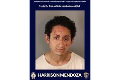 FATAL INJURY TRAFFIC COLLISION