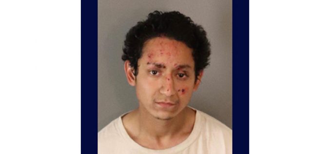 FATAL INJURY TRAFFIC COLLISION