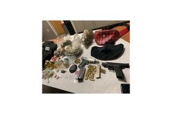 Two handguns and drugs seized in traffic stop