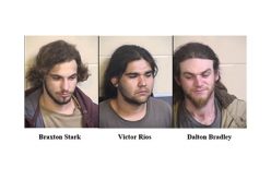 Three Arrested in Connection with Multiple Robberies