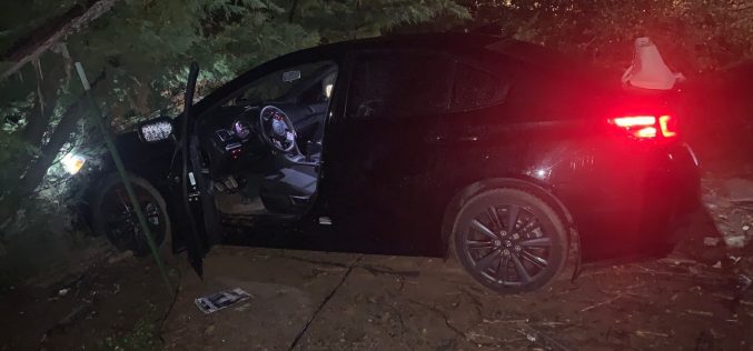 Party guest accused of burglarizing house after host left