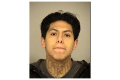 Gangster Trio Busted for Robbery