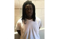 Man steals handgun, arrested the net day