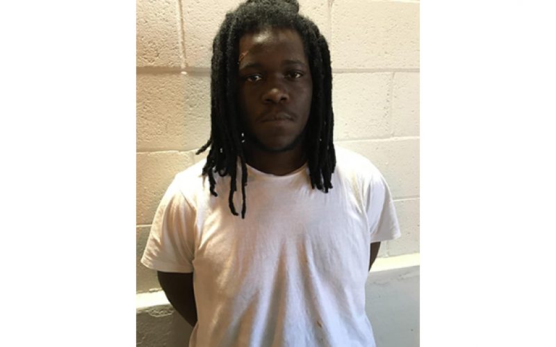 Man steals handgun, arrested the net day