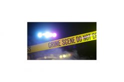 Teamwork makes the arrest work