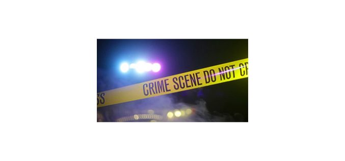 Teamwork makes the arrest work