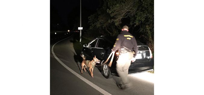 K-9 Yahtzee and deputies catch three suspects with drugs