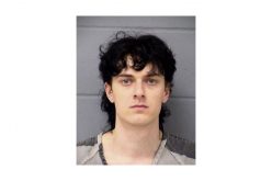 Arrests of celebrity mechanic’s son underscore domestic worries in coronavirus lockdown