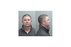 She was spending too much time on the phone, domestic violence ensued