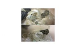 K9 Officer Eli Assists in Heroin Possession Arrest