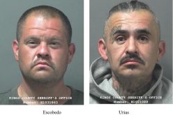 Replica Firearms and a Stolen Chevy