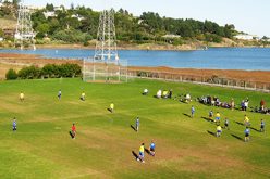 Suspected Gang Member Arrested for Assault and Vehicle Theft