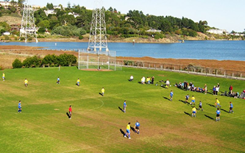 Suspected Gang Member Arrested for Assault and Vehicle Theft