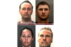 Web of deceptive drug delivery to HDDC